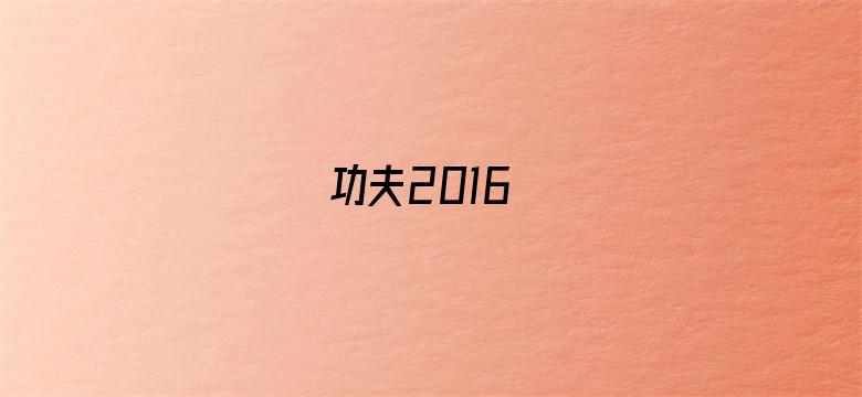 功夫2016